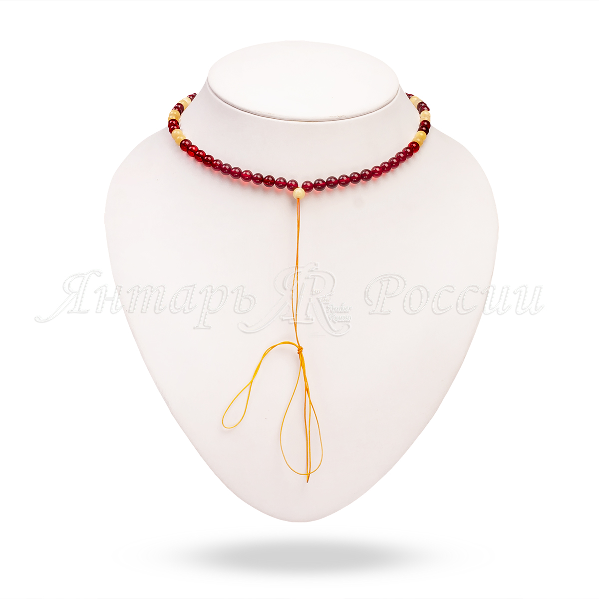 511013007856 511013007856