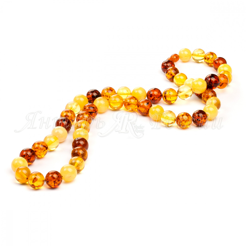 5531067702 5531067702