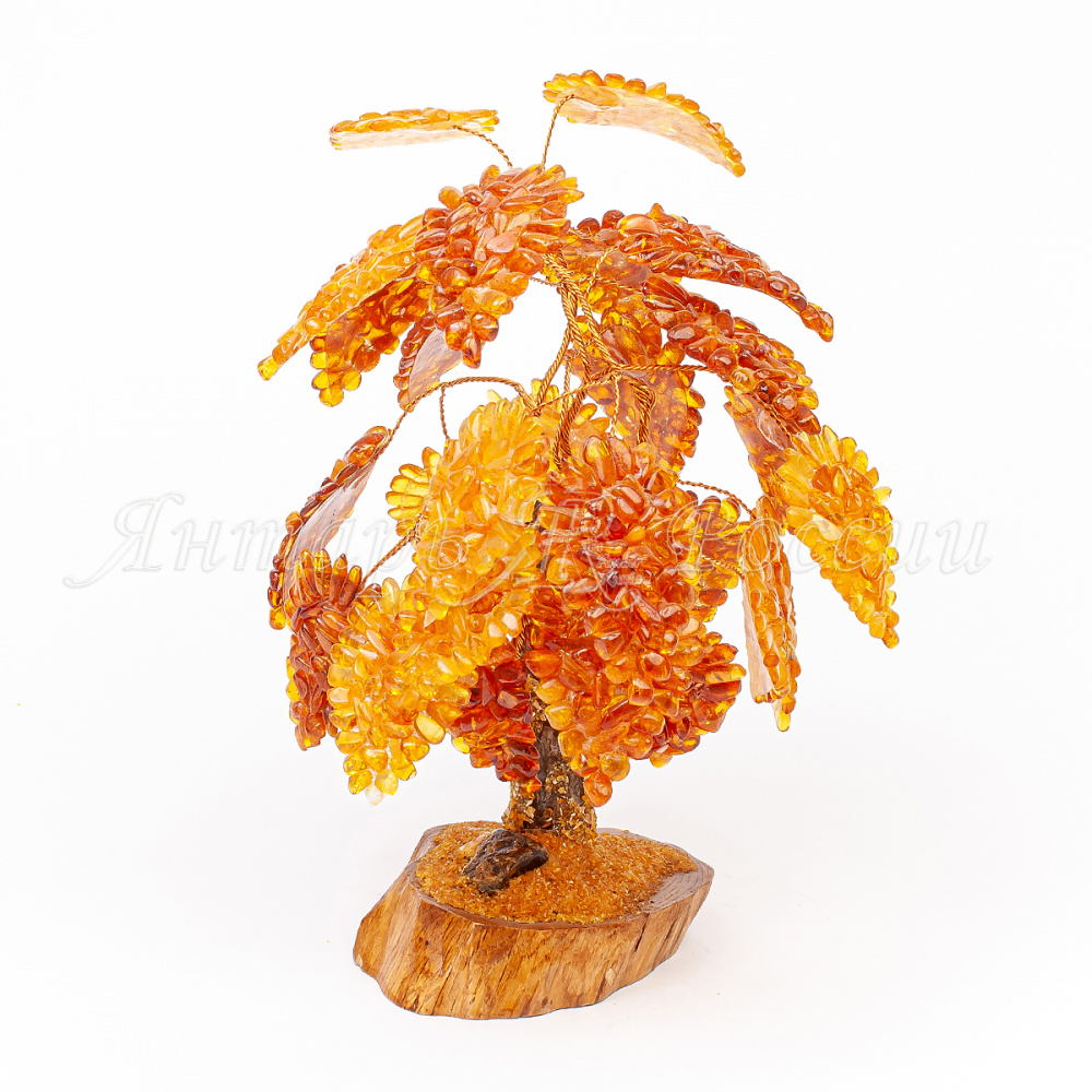 Дерево дуб Янтарь Дерево дуб Янтарь