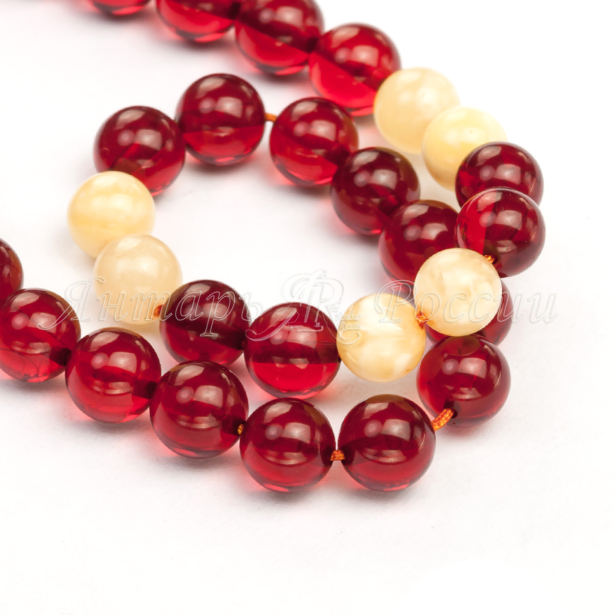 511013007856_3 511013007856_3