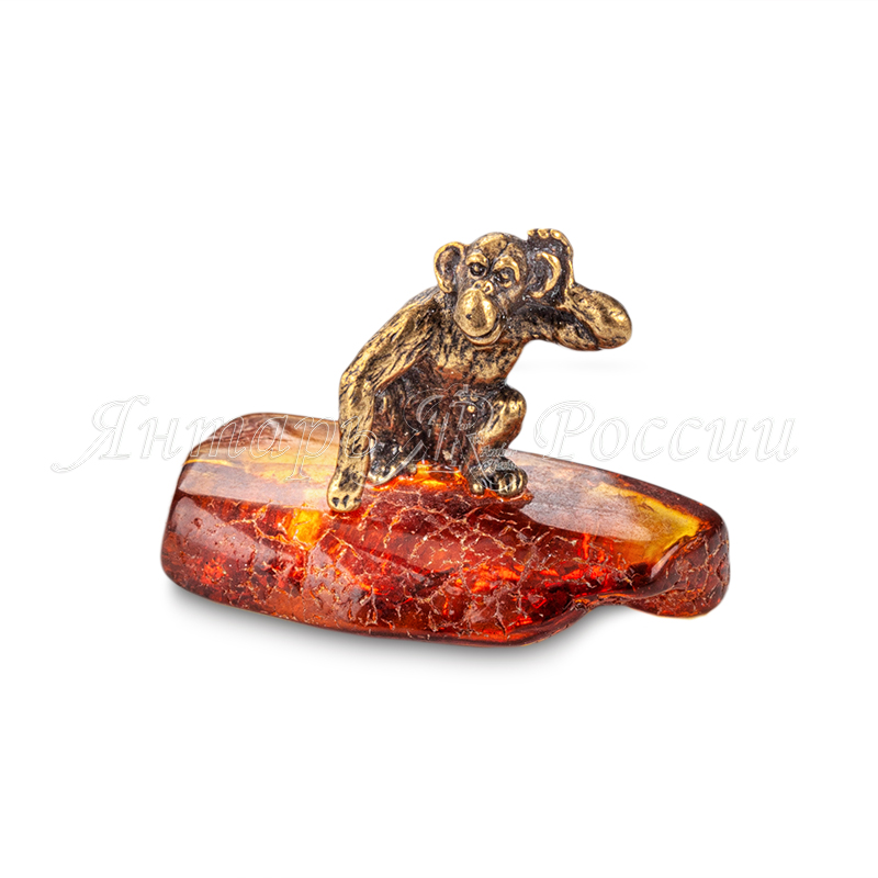 Обезьянка  Обезьянка