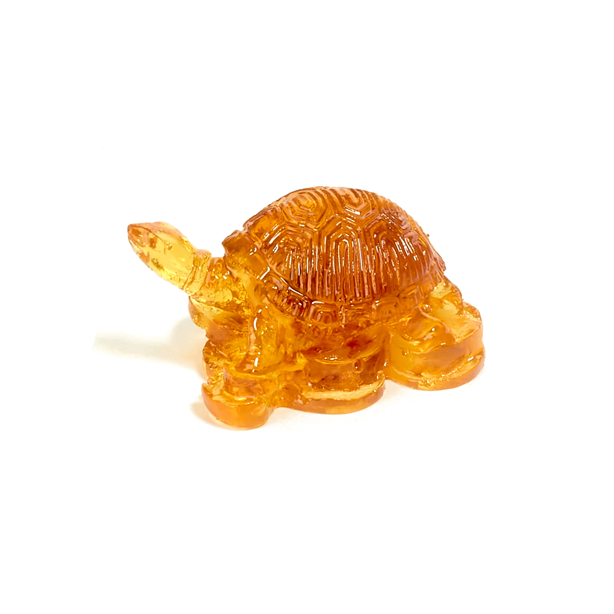 61016973_2 61016973_2