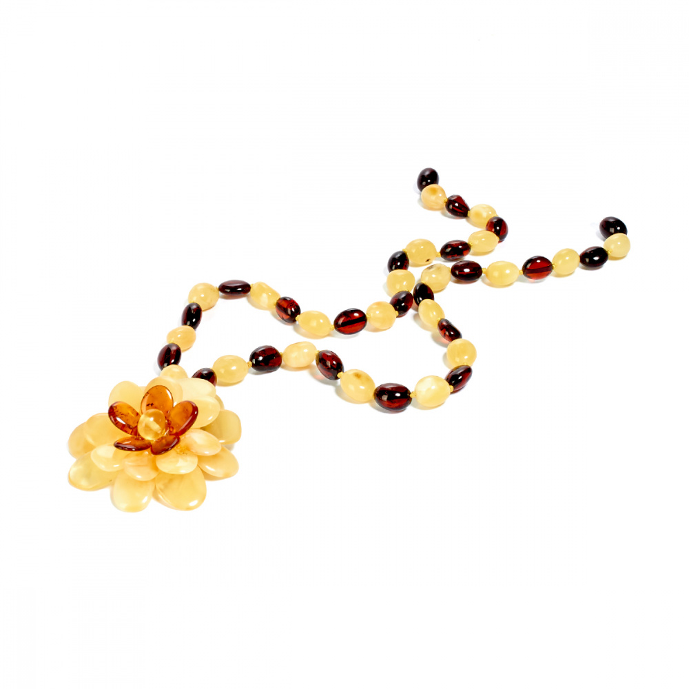 5553020499 5553020499