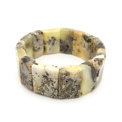 3031119493 3031119493