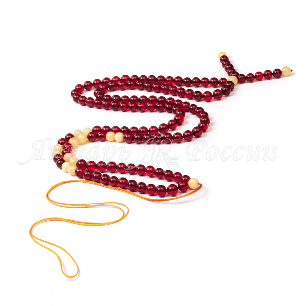 511013007856_2 511013007856_2